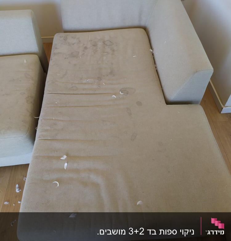 ספה עם כתמים ונוצות על המושב